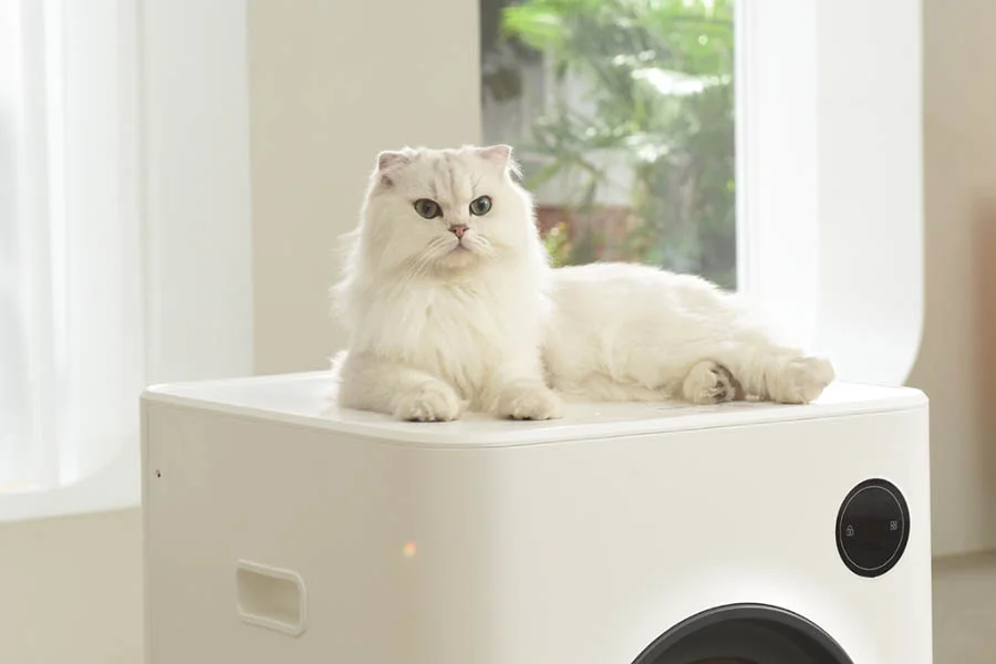 kitty robot litter