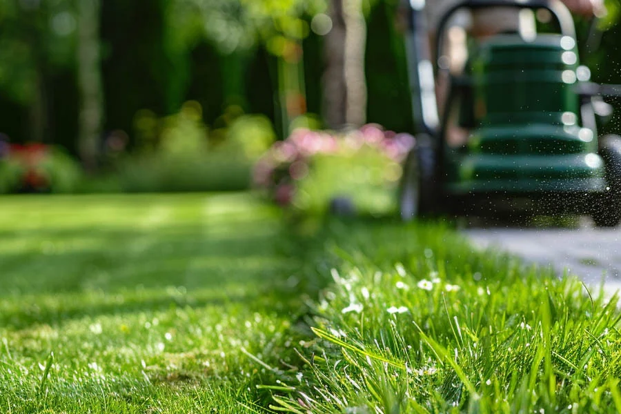 small electric lawnmowers